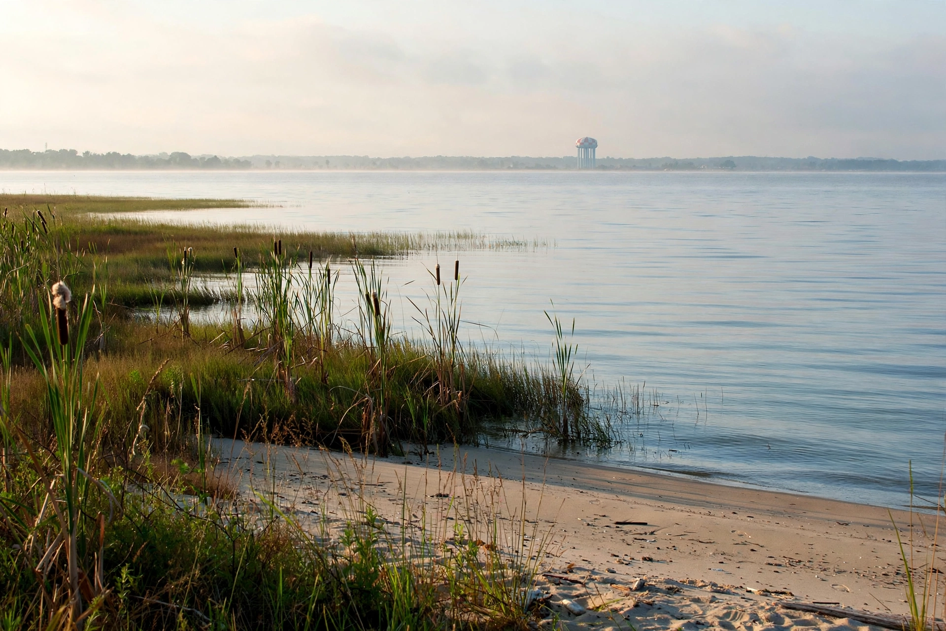 Calm Lake Erie water meeting a sandy beach with marsh grass at Maumee Bay near Oregon, Ohio