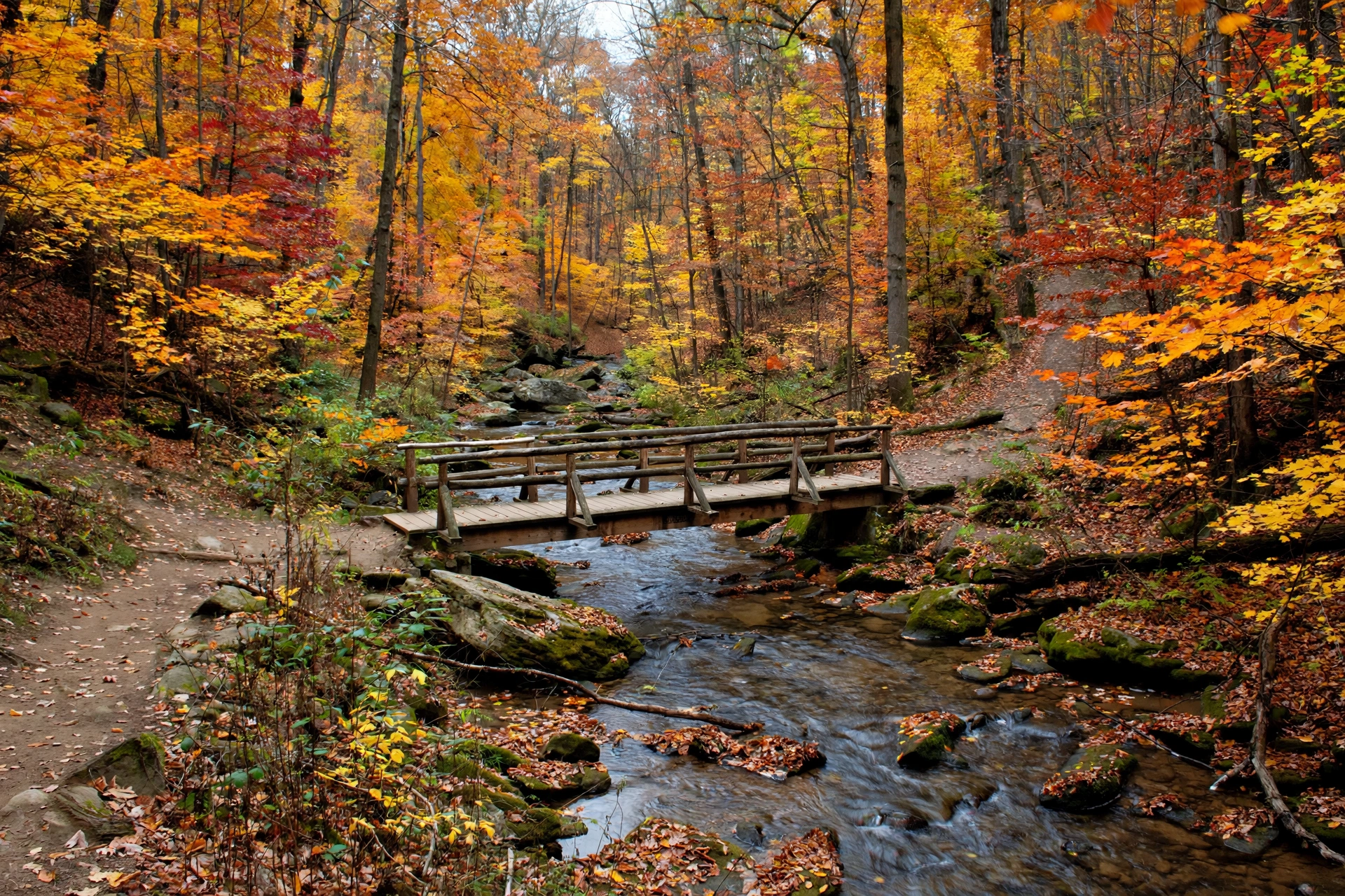 Euclid Creek flowing through a wooded ravine in the Euclid Creek Reservation near South Euclid, Ohio, with a hiking trail bridge in autumn