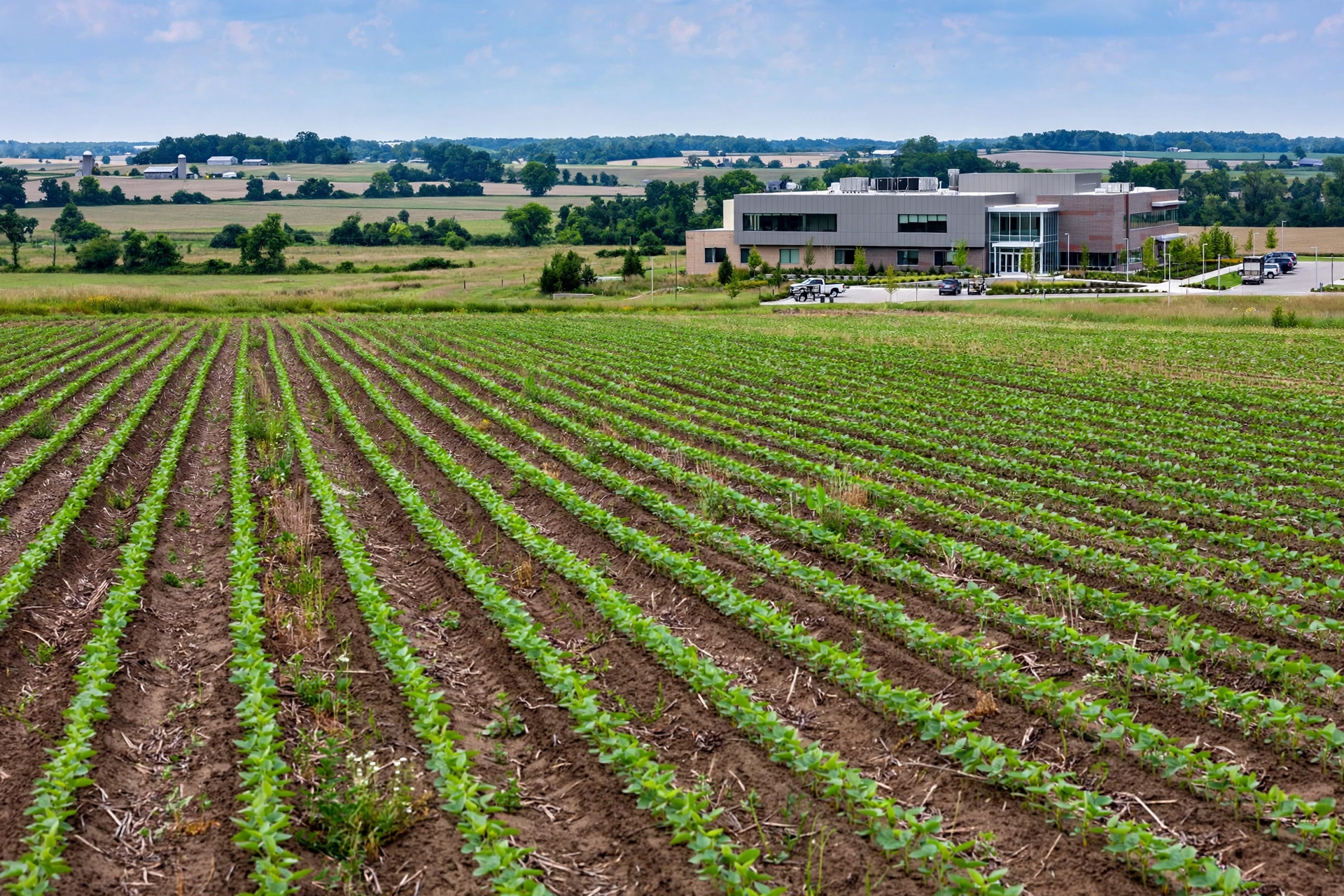 Neat crop rows with an agricultural research building in the distance in Wooster, Ohio